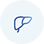 liver icon transparent liver icon transparent